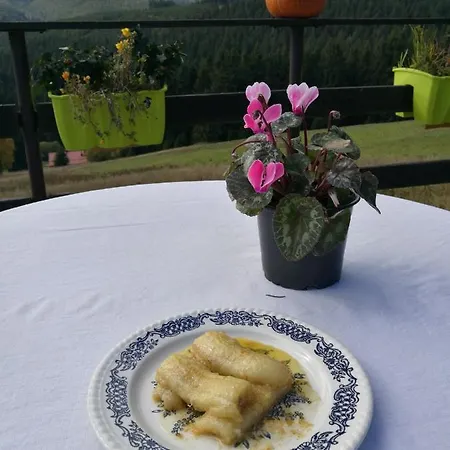 Bed & Breakfast Jamaican By Snezka Dolní Malá Úpa